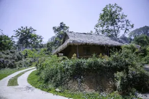COI NGUON FARM GLAM Mang Den - Image 5