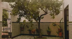 La Casa de Manolita - Image 5