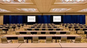 The Westin Cincinnati - Image 4