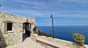 Oliventu - Tra gli ulivi sul mare - Image 4