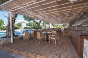 Golden Alexandros - Image 5