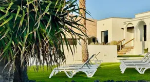 Canaryislandshost l Olympica - Image 4