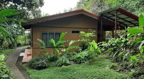 Iguana Libre - Image 3