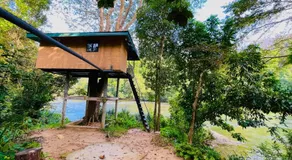 The Magical Tree House - Image 5