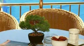 Bed and breakfast Jadran - Image 5