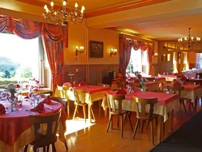 Logis Hotel & Restaurant - Les Vosges - Image 3