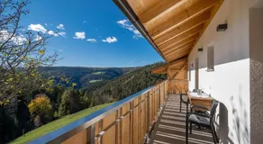 Ferienhaus Tholer Hof - Image 5