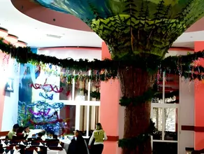 Hotel Bradul - Image 5