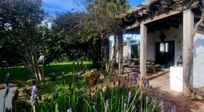 LA OLA Tarifa - Image 5