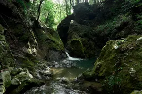 Natural Person Village - Image 5