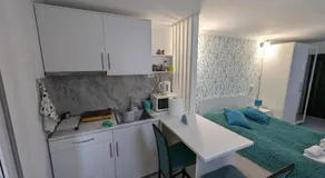 White Orchid - Image 4