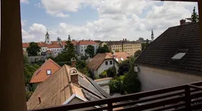 Harmat Veszprém - Image 5