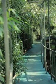 Riverwood resort vythiri - Image 5