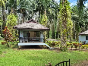 Khao Sok Palm Garden Resort - Image 2