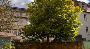 Aparthotel Mitte - Image 3