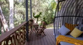 Frog Hollows - Image 4