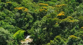Pura vida alojamiento - Image 4