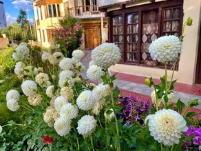 Zaltak Guest House and Hostel - Image 3