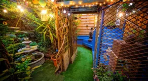 The Secret Garden - Image 4