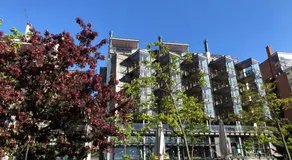 Scandinavian Sweet home 1BR Heart of City 18 - Image 3