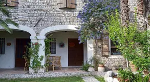 Rovere dalla riva - Image 4