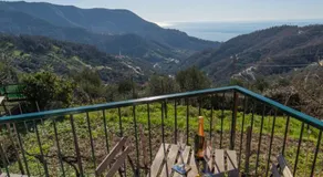 B&B La Volpe - Image 3