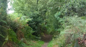 Chambre d'Hôtes à Bopérec - Image 4