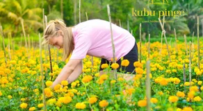Kubu Pinge - Image 4