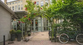 The More Hotel Mazetti - Image 5
