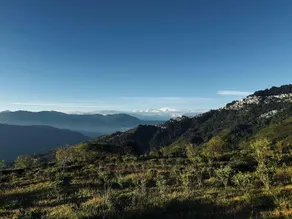 Himalayan DELEK Homestay - Image 3