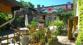 Sandino Summer Camp - Image 4