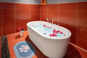 Kaibin International Hotel Jingdezhen - Image 3