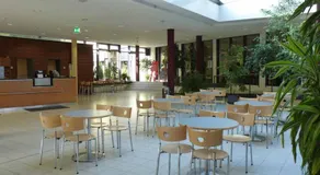 Jugendherberge Heidelberg International - Image 3