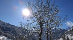 App Sass de Stria Cernadoi Dolomiti - Image 4