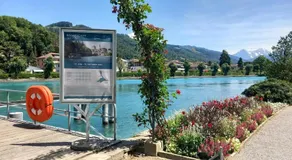 Thunersee View Studio - Image 5