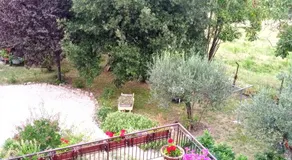 Tra grilli e cicale - Image 4
