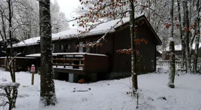 Ardennes - Image 5