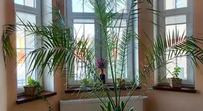 Młyn Warmiński -Hotelik Hermes - Image 3