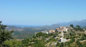 Cicendolle - Image 5