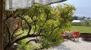 Serene Studio Retreat in Cygnet with Private Entrance - Image 2