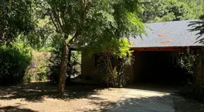 Avalon - Image 5