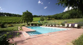 Podere Vignola - Image 3