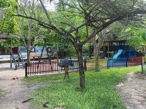Kijiji Beach Resort - Image 5
