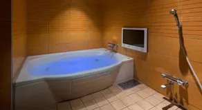 HOTEL FINE - INTO THE PREMlUM - - Image 5