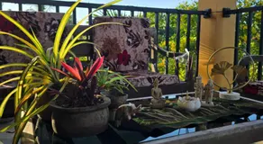 Nature Paradise Guesthouse - Image 2