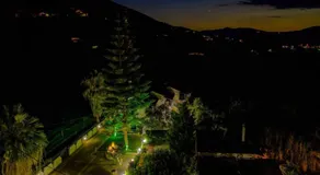 arome de grenade - Image 4