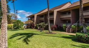 Kihei Bay Vista C-201 - Kihei 1BR Condo, AC, Lanai, WiFi, 45 Sec to Sugar Beach! - Image 4