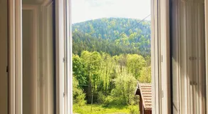 ⁂⁂ LE GRAND DUC Appartement [CLEDICIHOME] / Magnifique vue sur les montagnes / 4 KMs DE GERARDMER ! ⁂⁂ - Image 5