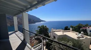 Three Olive Homes - Image 4