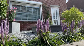Zuid-Limburg B&B OpdeBossen - Image 4